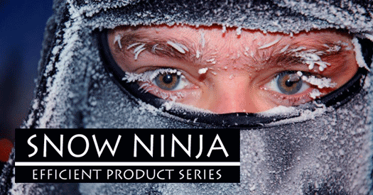 SNOW NINJA