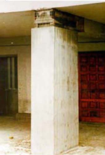 maxgrout_rys.jpg