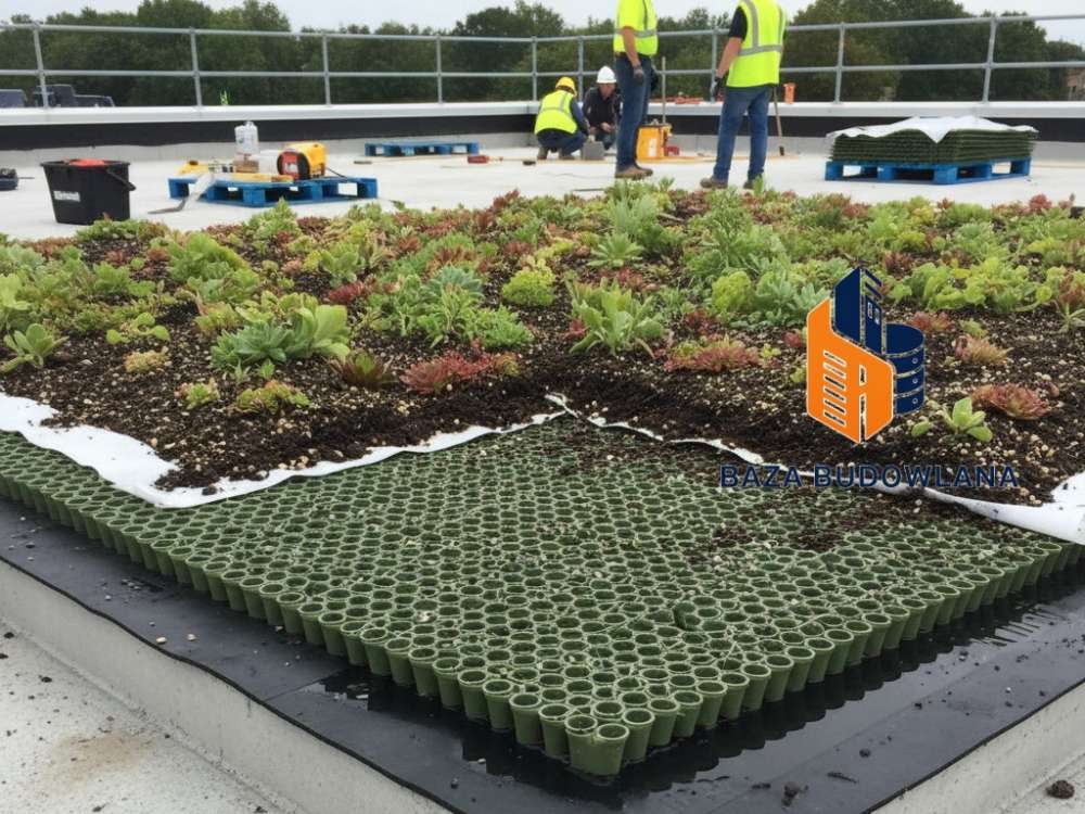 Warstwy dachu zielonego z kompozytem drenażowym chroniącym rośliny i konstrukcję stropu.