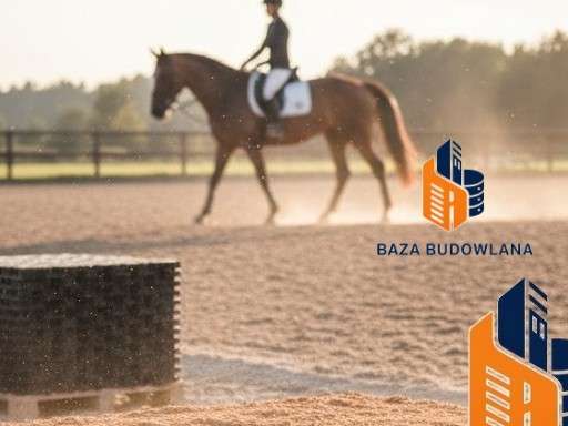 Amortyzacja podłoża a zdrowie konia – rola stabilizacji gruntu w sporcie jeździeckim