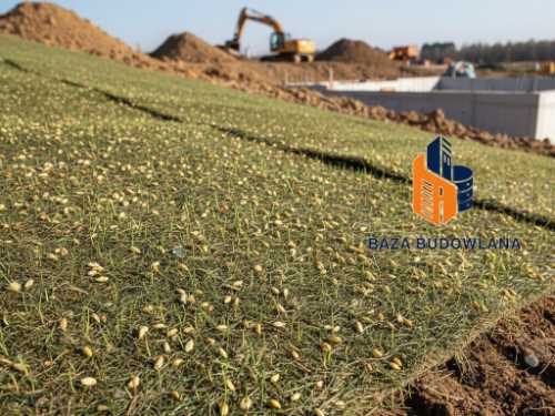 Biodegradowalna włóknina z nasionami trawy