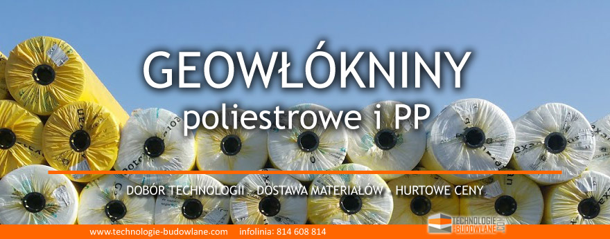 GEOWLOKNINA