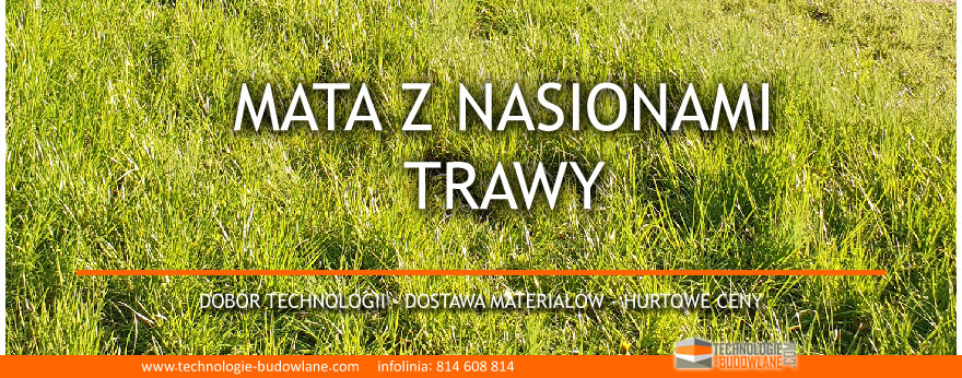 mata z nasionami trawy