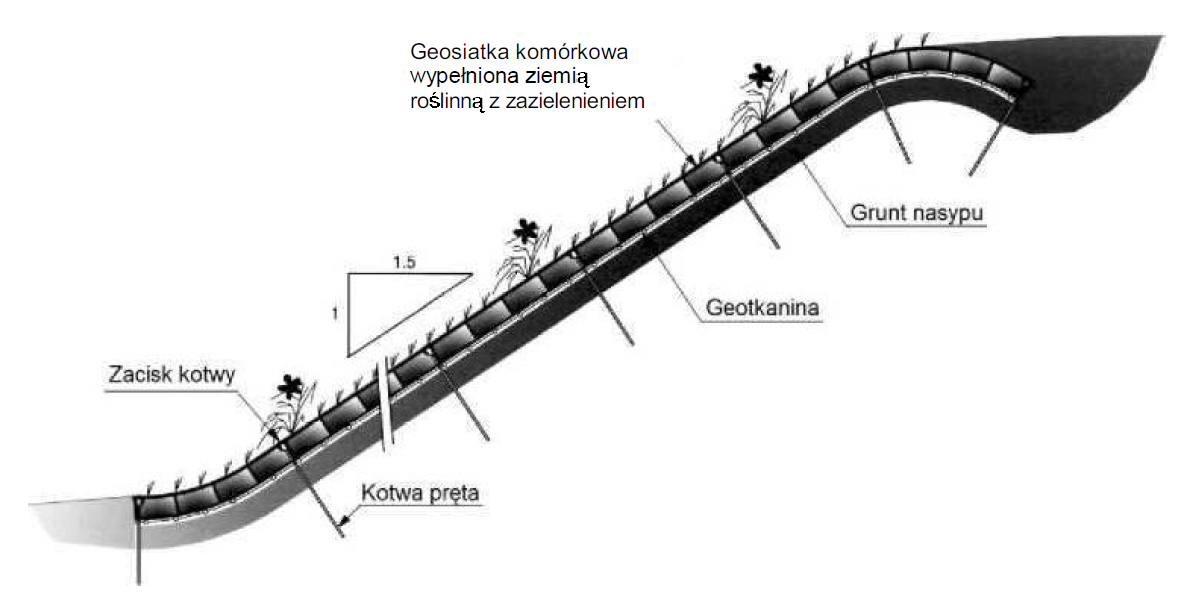 umocnienie skarpy - geosiatka i geokrata komorkowa