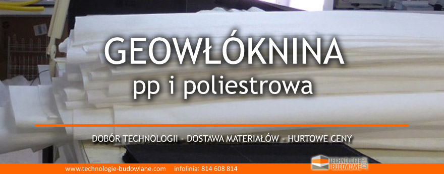 GEOWLOKNINA